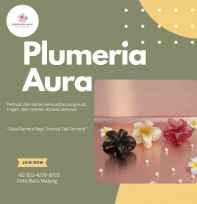 Jedai Rambut Kamboja