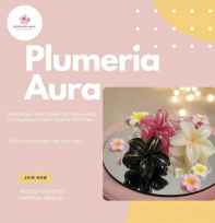 Jedai Rambut Kamboja