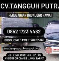 Bronjong Kawat