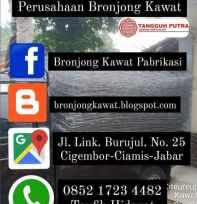 Bronjong Kawat