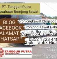 Bronjong Kawat