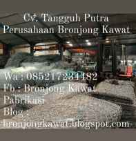 Bronjong Kawat