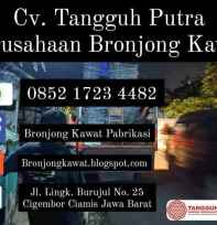 Bronjong Kawat