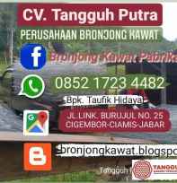 Bronjong Kawat