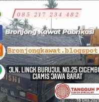 Bronjong Kawat