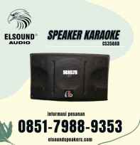 elsound speaker