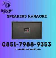 speaker karaoke