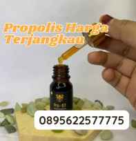 Propolis