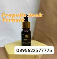 Propolis 97