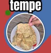 keripik tempe