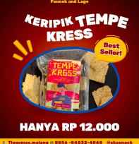 keripik tempe