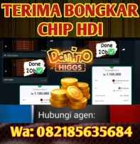 TERIMA BONGKAR CHIP