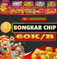 Agen bongkar chip