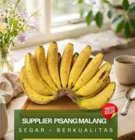 Supplier Pisang