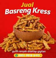 Camilan Basreng Kress