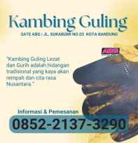 kambing guling muda