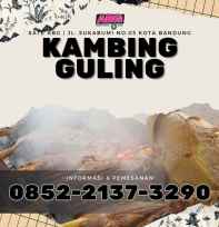 kambing muda guling