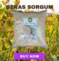 Beras Sorgum