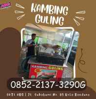 paket kambing guling