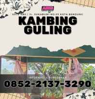 kambing guling adalah