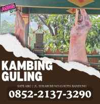 aqiqah kambing guling