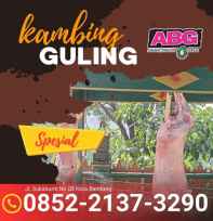 kambing guling utuh