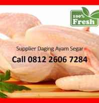 Daging ayam