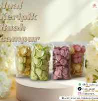 Keripik Buah