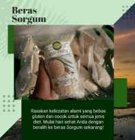 Beras Sorgum