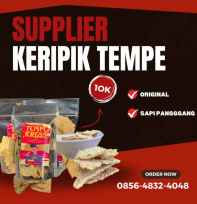 Keripik Tempe