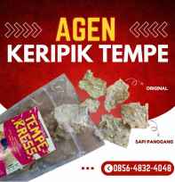 Keripik Tempe