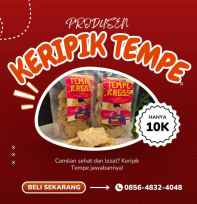 Keripik Tempe