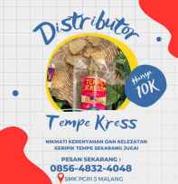 Keripik Tempe