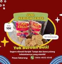 Keripik Tempe