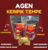 Keripik Tempe