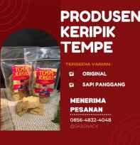 Keripik Tempe