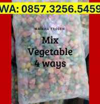 Maisha Frozen