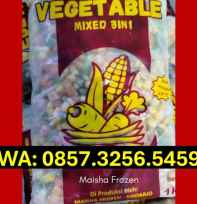 Maisha Frozen