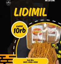 LIDIMIL mielidicemil