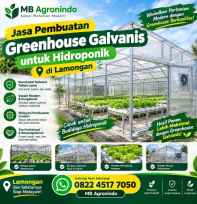 Greenhouse Galvanis