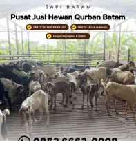 Hewan Kurban