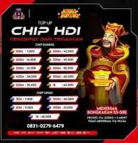 CHIP HINGGS DOMINO