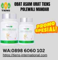 Obat asam urat tiens