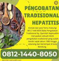 pengobatan hepatitis