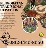 pengobatan hepatitis