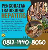 pengobatan hepatitis