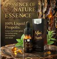 maxi propolis sr12