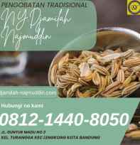 Pengobatan herbal hpv