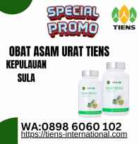 Obat asam urat tiens