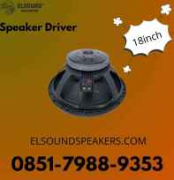 Speaker Driver